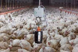 Preventing ammonia build-up in the litter system of poultry farms