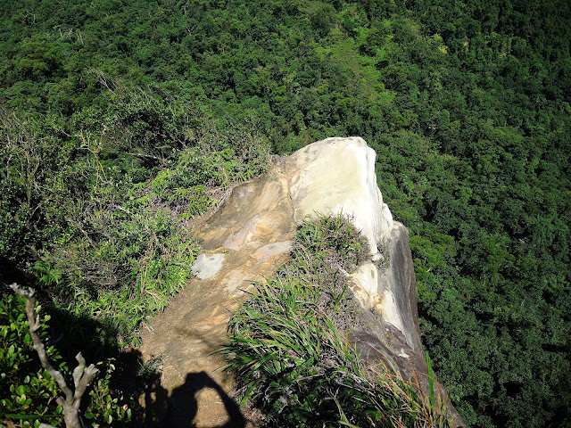 《內溝山登山步道》順遊「金龍湖」、「翠湖」 (2018.11