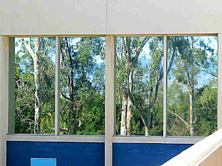 trees reflected in Cal Arts windows