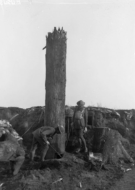 ww1 camouflage-fake trees