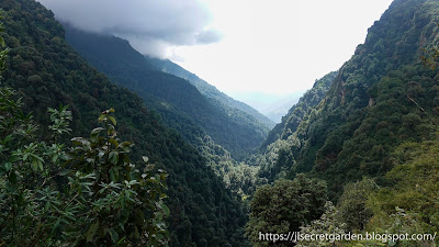 on the way to Bhaisi Kharka, view towards Chomrong