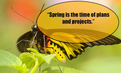 Spring Quotes - Quotes about Spring