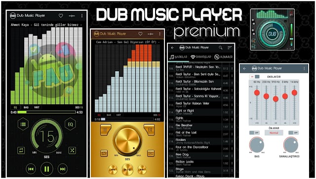 Dub Music Player Premium