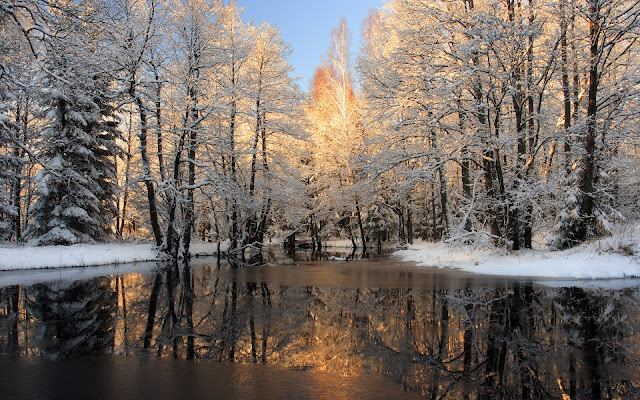 Paisajes de Invierno