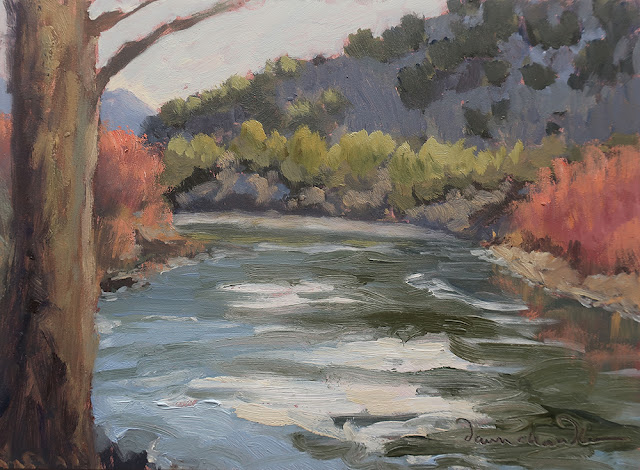 "Mild February Afternoon on the Rio Grande" original plein air landscape painting in oil by New Mexico artist Dawn Chandler.