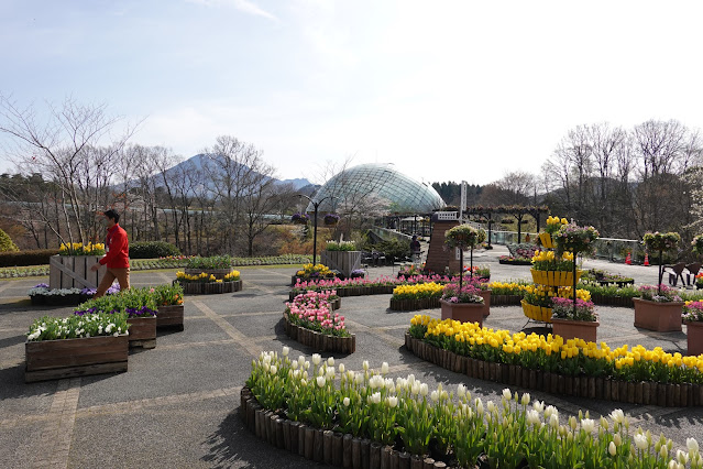 鳥取県西伯郡南部町鶴田 とっとり花回廊 エントランス展示