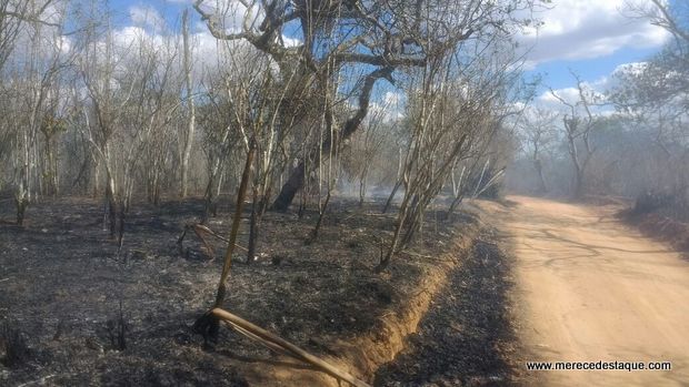 Incêndio atinge matas de Taquaritinga do Norte mais uma vez