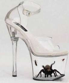 Tarantula in Freaky Shoes