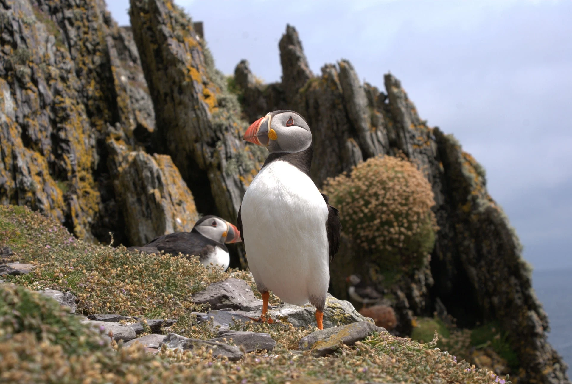 Skellig Michael visite