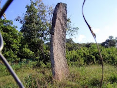 Misteri 'Batu Hidup' Di Kampung Pulau Sebang