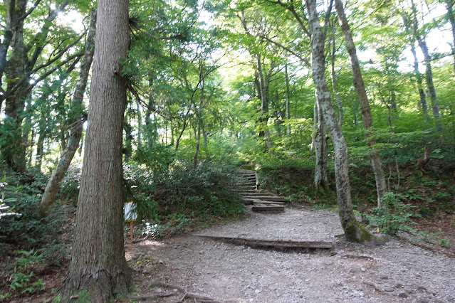 8月の大山夏山登山道