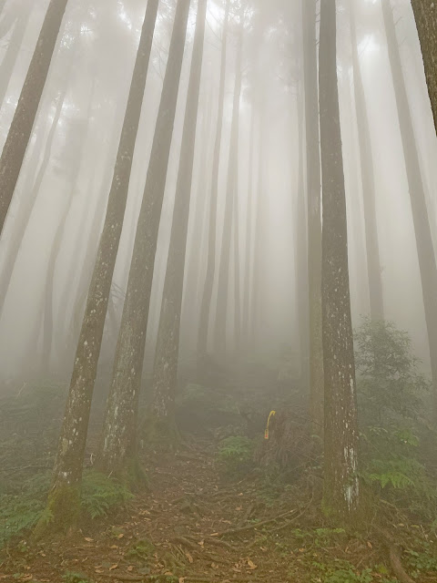 往大窩山登山口