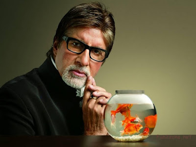 amitabh bachchan hd wallpapers free | Latest HD Wallpapers