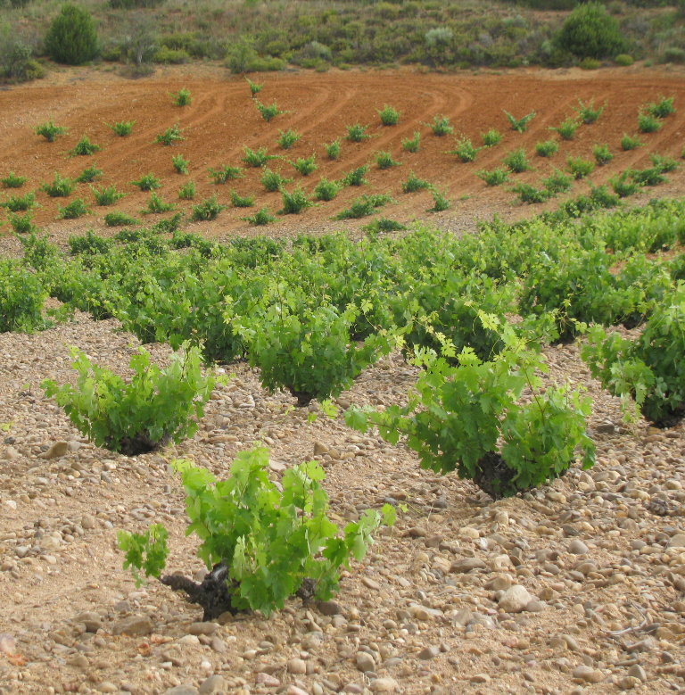 Castile–La Mancha Turismo