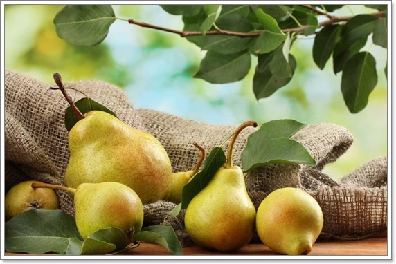  10 health and therapeutic benefits for pears