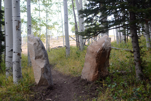 rocks among the aspen