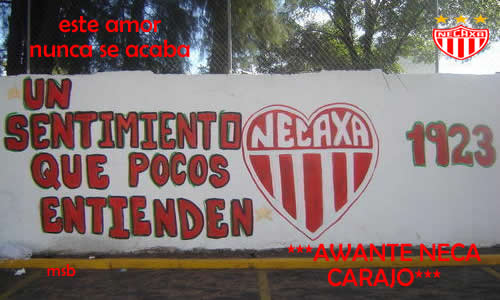 UN SENTIMIENTO QUE POCOS ENTIENDEN...