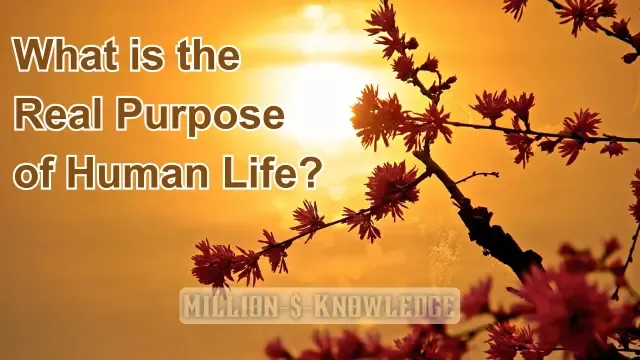 What is the Real Purpose of Human Life