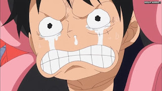 ワンピースアニメ ドレスローザ編 663話 ルフィ かわいい Monkey D. Luffy | ONE PIECE Episode 663