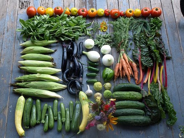 csa csa