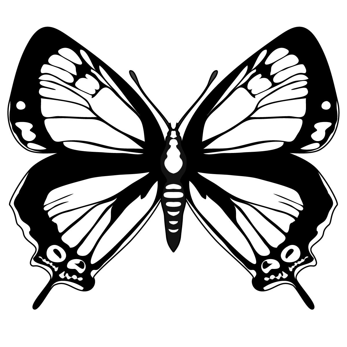 Butterfly Black and White Clip