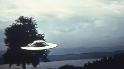 Um disco voador bem próximo a uma árvore