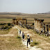 Volubilis: Hermoso Patrimonio de la Humanidad