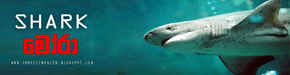 මෝරුන් ගැන සිංහලෙන් sharks sinhalen