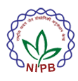 NIPB Delhi Plant Molecular Biology Project Openings 