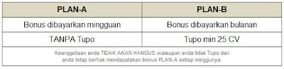 peluang bisnis online terpercaya 2013