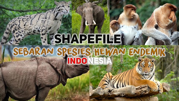 Shapefile Sebaran Spesies Hewan  Endemik Langka  Indonesia 