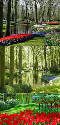 World Most Amazing Beautiful Gardens