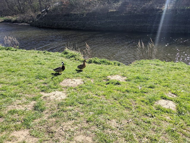 Wansbeck Riverside Park | Northumberland