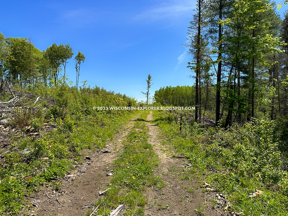 rough road through cut over area