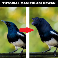 Tutorial Edit Foto Malipulasi Hewan Dengan PicSay Pro