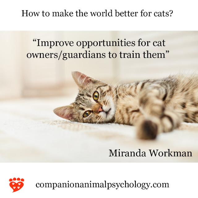 A better world for cats - if people knew how to train them