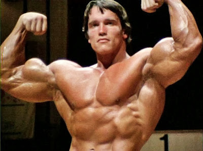 Arnold Schwarzenegger Body Muscles