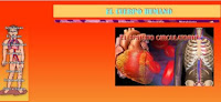 http://www.ceiploreto.es/sugerencias/averroes/manuelperez/udidacticas/udanatomia/circulatorio/entrada/entrada.htm