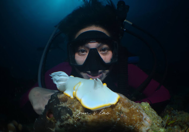 Scuba diving, Underwater Photography, Jun V Lao, Paparazsea