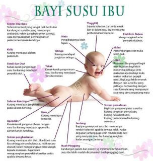 Kebaikan susu Ibu Untuk bayi