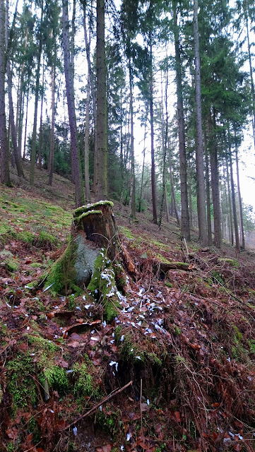 Sauerland wandern Wetter blog Meschede