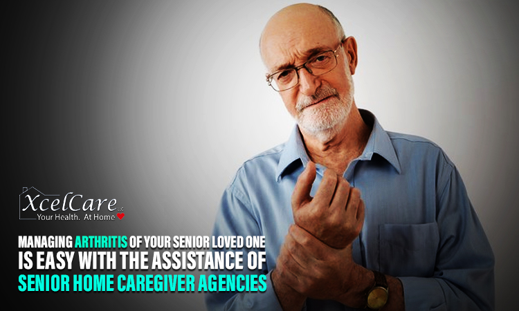 Senior Home Caregiver Agencies