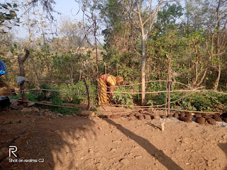 Organic-farming-rajasthan