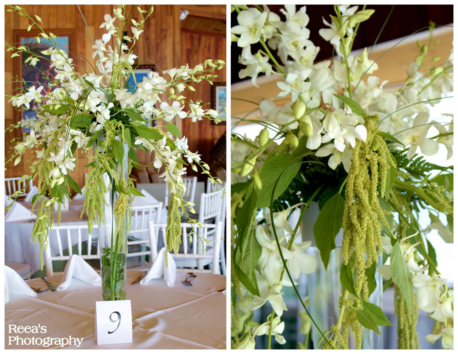 orchid wedding centerpieces