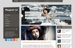 Project 10 blogger template