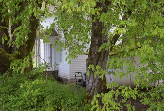 old house near the harris bridge