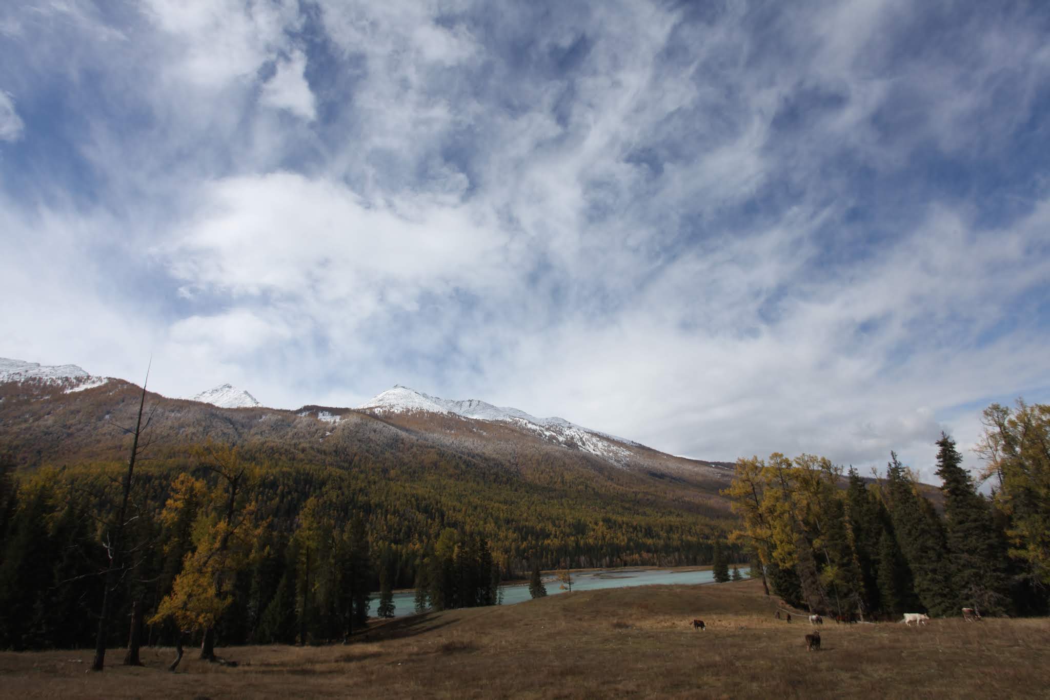 Travel to Xinjiang 3 -Kanas of autumn