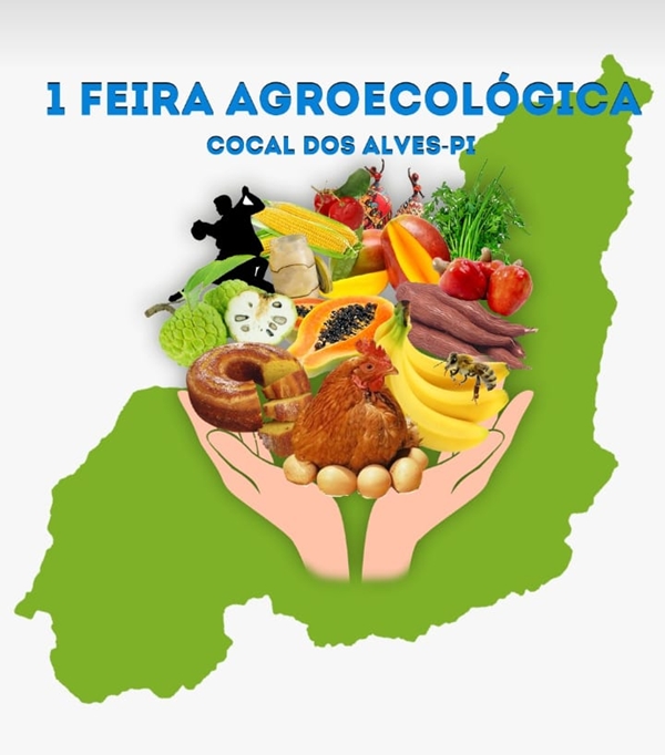 Cocal dos Alves promoverá a primeira Feira Agroecológica no município; participe 