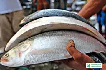 Big Hilsa Fish Image - Hilsa Fish Image Download - How to Know Hilsa Fish - Hilsa Fish Price 2023 - elish mas - NeotericIT.com - Image no 5