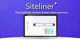 siteliner duplicate content tool for website and blog